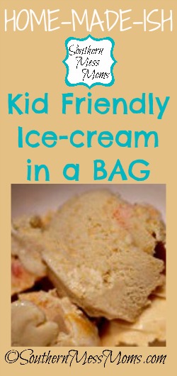 icecream in a bag
